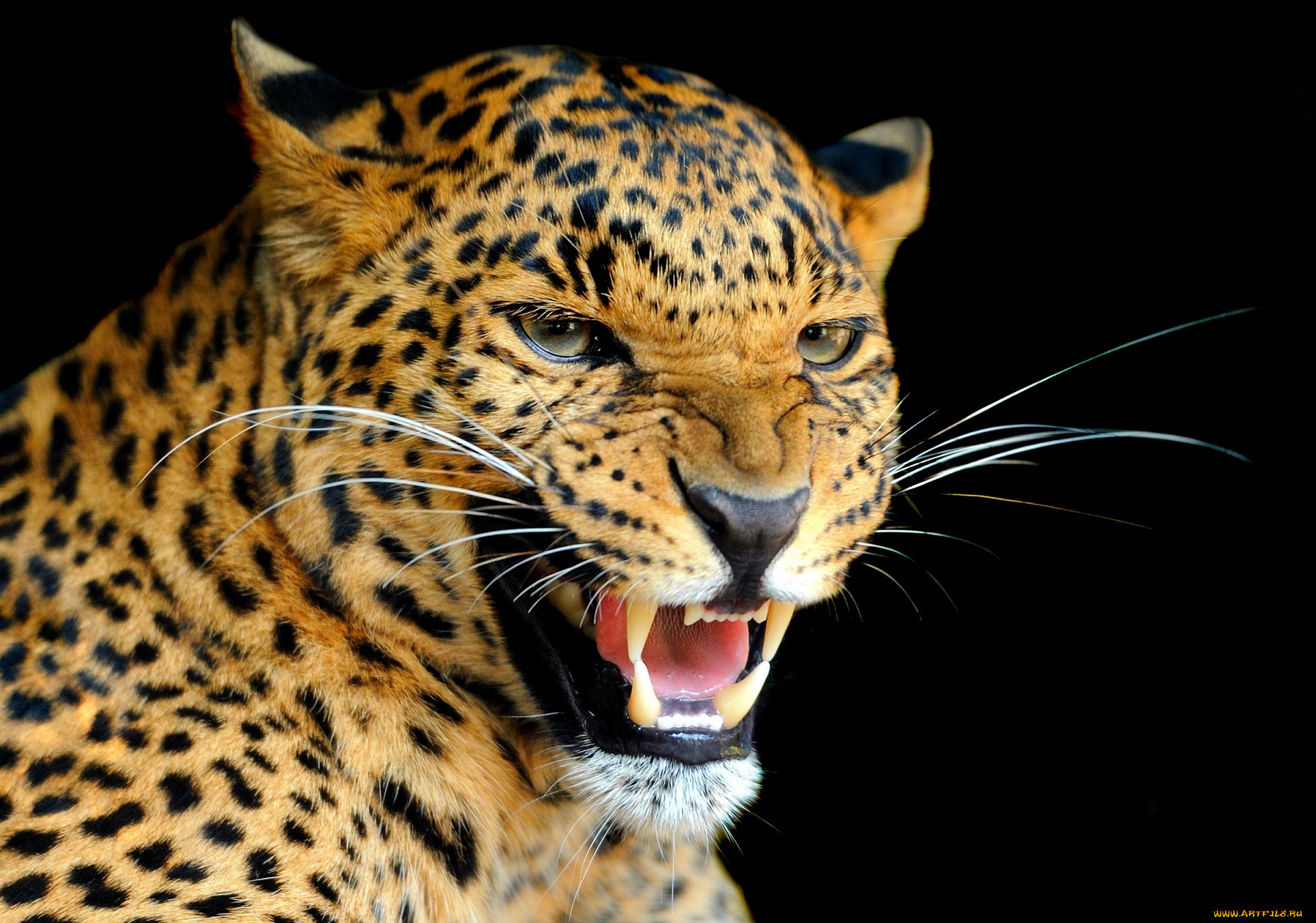 , , , , , , , 